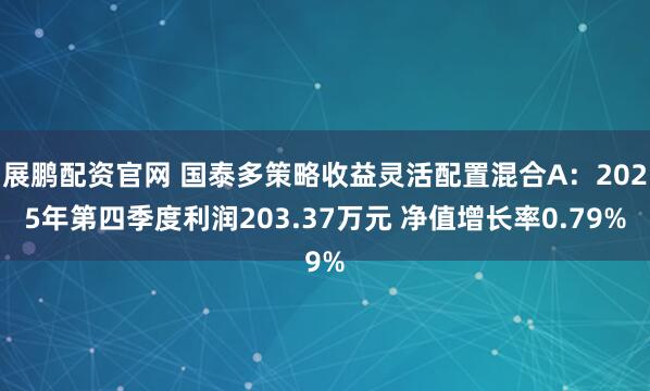 展鹏配资官网 国泰多策略收益灵活配置混合A：2025年第四季度利润203.37万元 净值增长率0.79%