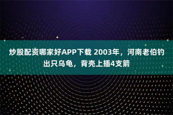 炒股配资哪家好APP下载 2003年，河南老伯钓出只乌龟，背壳上插4支箭