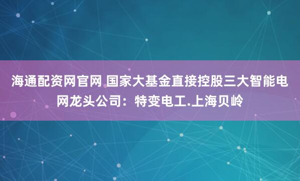 海通配资网官网 国家大基金直接控股三大智能电网龙头公司：特变电工.上海贝岭