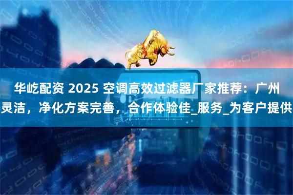 华屹配资 2025 空调高效过滤器厂家推荐：广州灵洁，净化方案完善，合作体验佳_服务_为客户提供